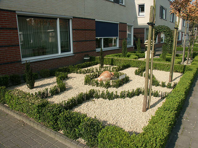 Van Dam Hoveniers Woerden: Voor Tuinadvies Op Maat